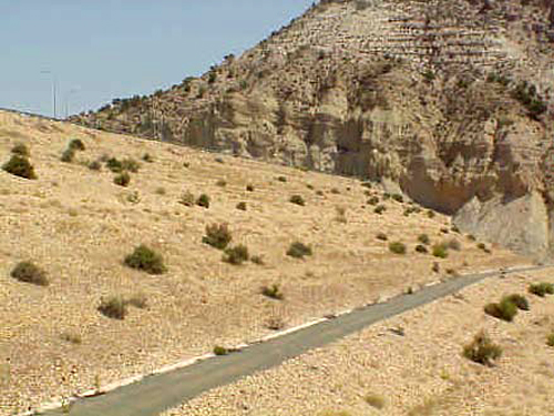 Foto Vista del espaldón aguas abajo de la presa