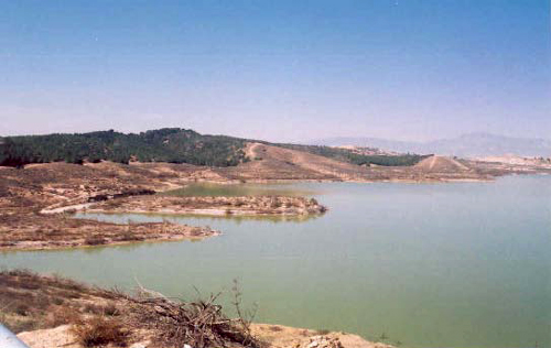 Foto Embalse del Santomera 