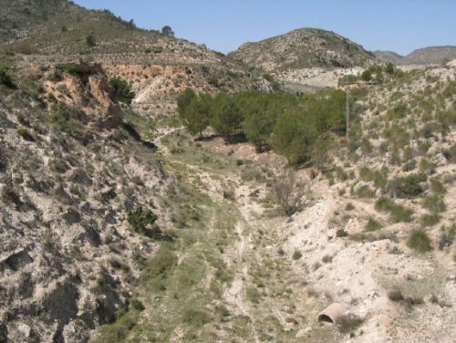 Rambla de el Morrón aguas arriba de la presa. Vista desde coronación