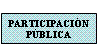 Participación Pública