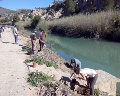 /descargas/cuenca/segurariverlink/noticias/img/FIN-TEMPORADA-DE-PLANTACIONES.jpg