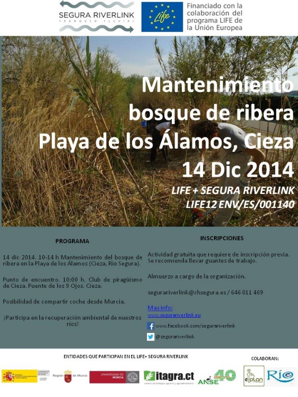 actividades_riorie