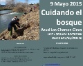 /descargas/cuenca/segurariverlink/noticias/img/cuidandobosqueribera.jpg