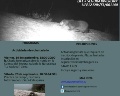 /descargas/cuenca/segurariverlink/noticias/img/nutria.jpg