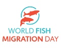 /descargas/informaciongeneral/comunicacion/noticias/img/2014-05-Mayo/logo-World-Fish-Migration-Day.jpeg?description=Logo%20D%C3%ADa%20mundial%20de%20la%20Migraci%C3%B3n%20de%20los%20Peces